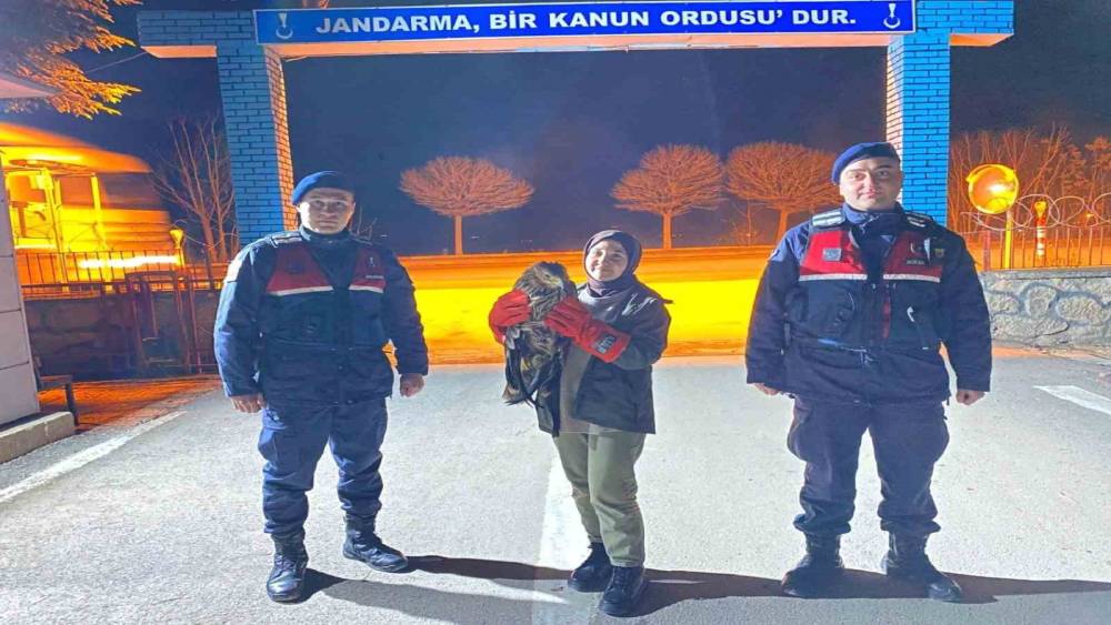 Vatandaşın bulduğu yaralı kızıl şahin jandarma ekiplerine teslim edildi
