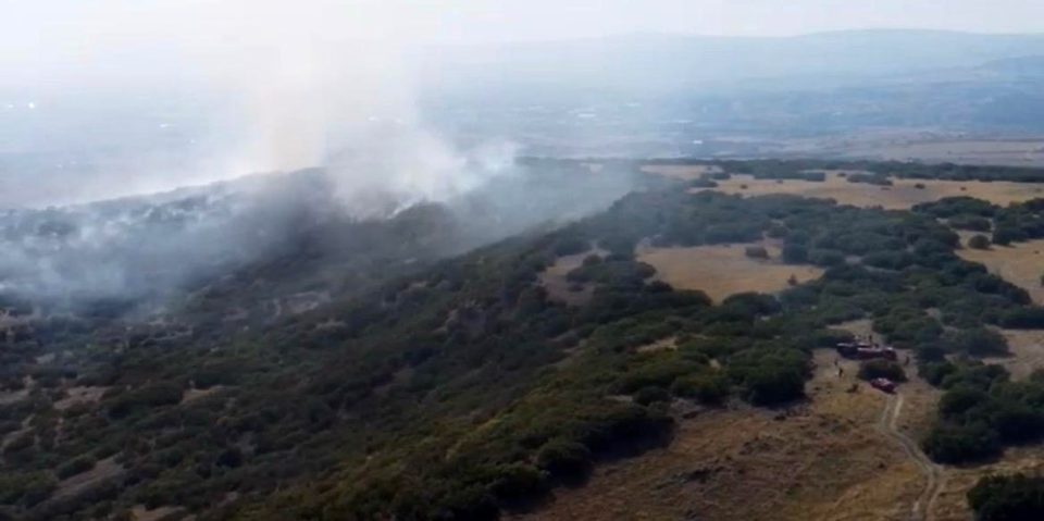 Ankara’da ormanlık alanda çıkan yangın kontrol altına alındı