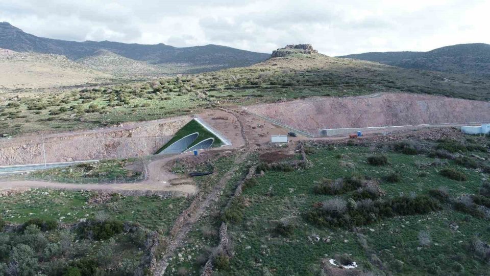 Karayolu ve Demiryolu Ağında 21 Ekolojik Köprü İnşa Edildi