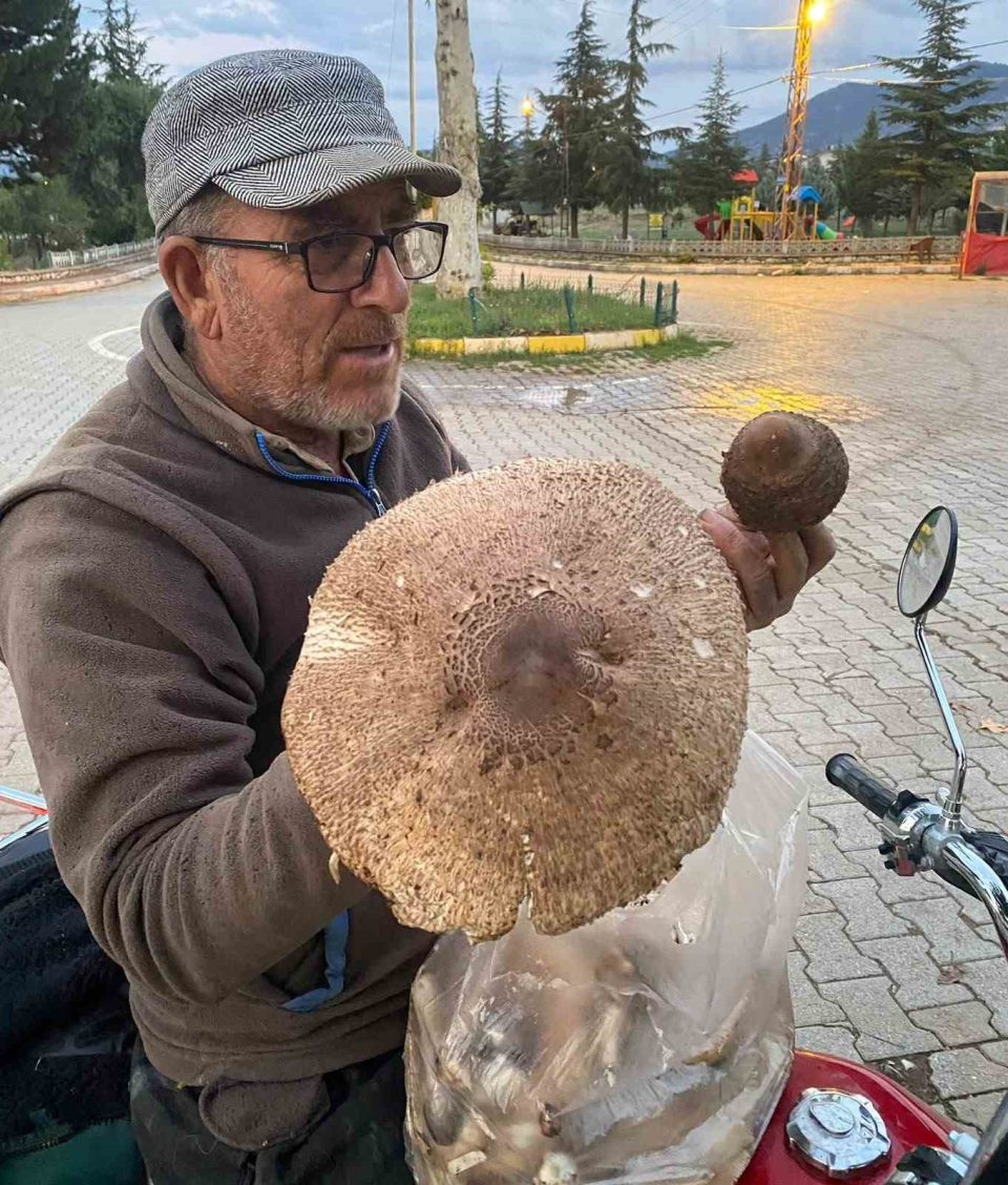 Bulduğu mantar boyutuyla şaşırttı