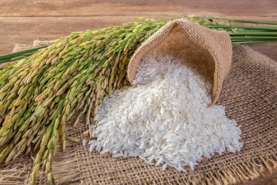 Bazı pirinç ve çeltik ürünlerinin ithalatında gözetim dönemi başladı