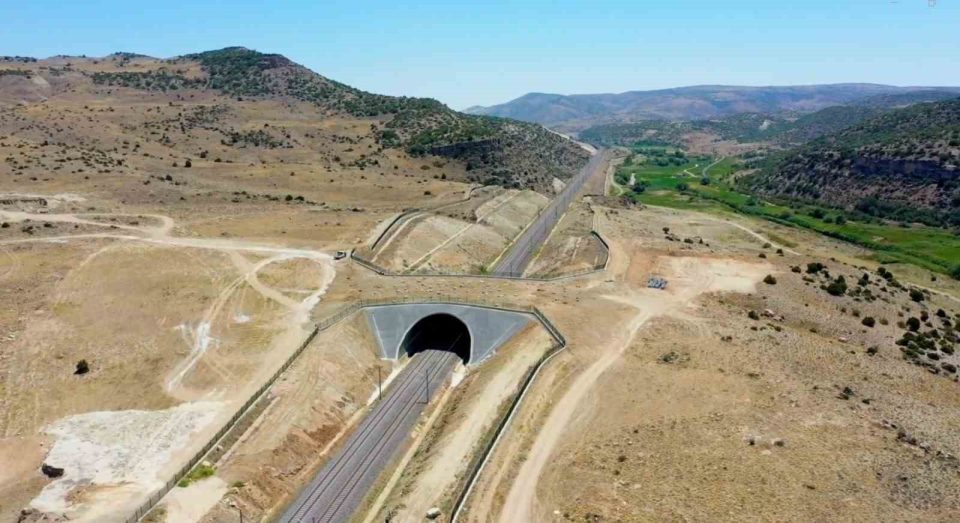 Karayolu ve Demiryolu Ağında 21 Ekolojik Köprü İnşa Edildi