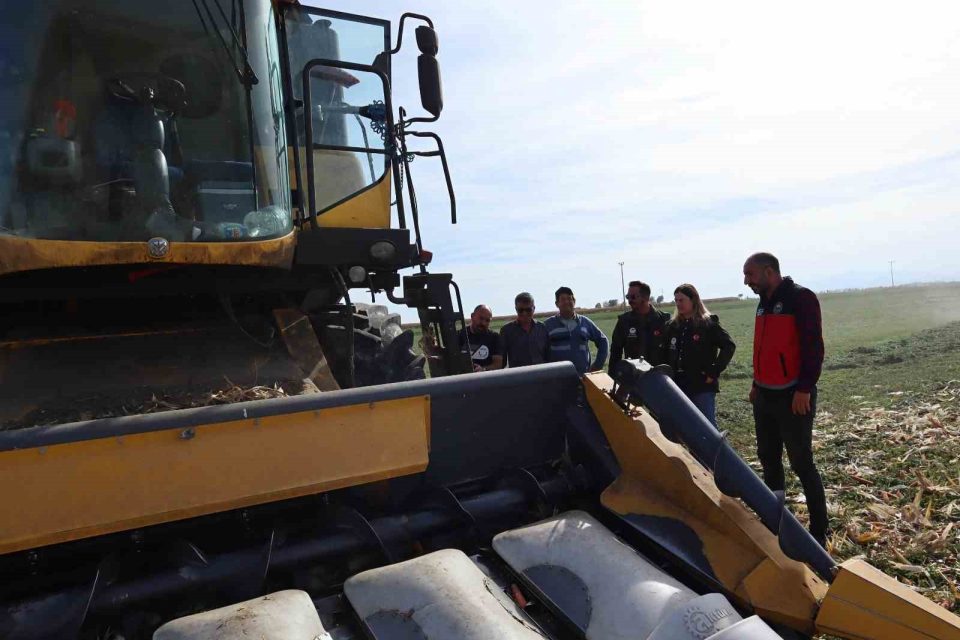 Karapınar’da dane mısır hasadında saha çalışmaları